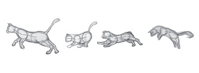 Details and shading are added to the original ovals.